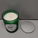 HD Designs Festive Fir Scented Green Solid Jar Candle, 8 oz 
