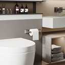 Brushed Nickel Toilet Paper Holder Bathroom Double Post Pivoting Tissue Roll Holder Stainless Steel and Zinc Alloy Wall Mount