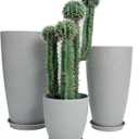 24,21,11 Inch Large Plastic Planters with Drainage Hole and Saucer - Set of 3 Tall Plant Pots Indoor Flower Pot Tall Round Planters Outdoor Large Tall Planter