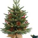 Prelighted Mini Christmas Tree 2 ft with 50 Light, 80 Tips Plug in Small Artificial Xmas Tree with Timer 24 inch Tabletop Tree Christmas Decoration for Bedroom Fireplace Mantel