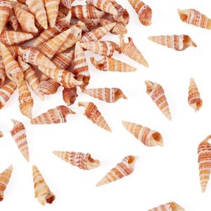 Craftdady 100pcs Natural Conch Shell Small Beach Sea Shells for Fish Tanks Vase Filler DIY Craft Home Decor Ocean Themed Party 27-29 mm