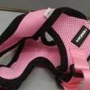 rabbitgoo Cat Harness and Leash for Walking, Escape Proof Soft Adjustable Vest Harnesses for Cats, Easy Control Breathable Reflective Strips Jacket, Pink, M