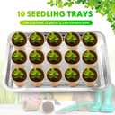 FillTouch 10 Pcs Stainless Steel Seed Starter Tray, Stainless Metal Garden Trays, Nursery Seedling Pots for Collection Transplantation & Propagation Flats, No Drain Holes(15.8 x 11.8 x 1.4 Inch)