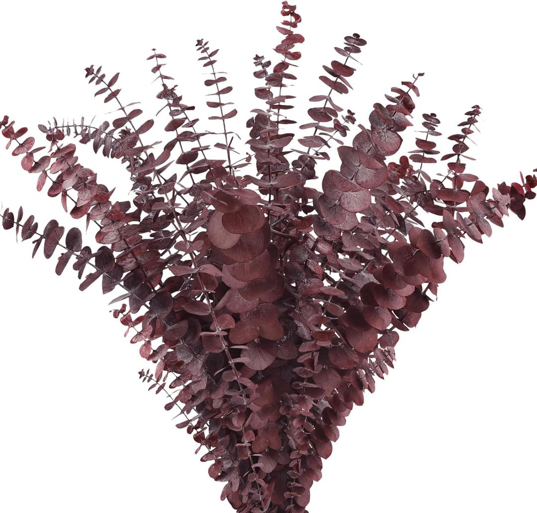 Real Dried Eucalyptus Stems, 20Pcs 17inch Red Preserved Fresh Eucalyptus Stems Plant for Home Vase Wedding Festival Floral Arrangement Fall Decoration