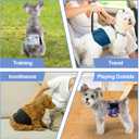 5 Pack Dog Diapers Male Reusable, Premium Belly Bands for Dogs, High Absorbing Male Dog Pee Wraps for Doggie in Incontinence or Excitable Urination and Training Black XS (Astronaut)