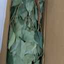 Artificial Ficus Tree 4ft, Artificial Plants Indoor with Realistic Leaves & Trunk, Fake Plants for Home Office Living Room Decor.