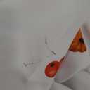 Horaldaily Fall Tablecloth 60x84 Inch Rectangular, Thanksgiving Autumn Harvest Pumpkin Mushroom Black Buffalo Plaid Table Cover for Party Picnic Dinner Decor