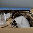 Area Rug 9x12 Washable Brown Vintage Traditional Mat Distressed Indoor Foldable Thin Retro Accent Floral Non Slip Carpet for Living Room Dining Room Office (Green and Brown)