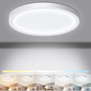 LED Flush Mount Ceiling Light Fixture, 24W 12Inch 3000K/3500K/4500K/5000K/6500K 5 Color Changeable 2880LM Low Profile Ceiling Light for Bedroom, Living Room, Dining Room, Hallway White