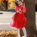 Disney Princess Frozen Minnie Mouse Dress Girls Sparkle Ruffle Tulle Tutu Birthday Party Fall Outfits Clothes Baby to Toddler (Red)