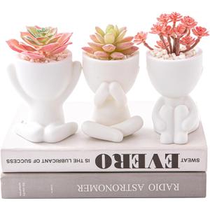 HEYO-YEPY 3PCS Cute Artificial Plant Office Decor for Women and Men, Aesthetic Desk Plant Decor for Office and Home, Potted Small Fake Plants for Indoor Decoration, White Pots Pink Plants