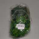 Fhiny 4 PCS Reptile Vines Plants Bendable Flexible Jungle Climbing Vines Plastic Leaves with Suction Cups Tank Accessories Habitat Decor for Bearded Dragons Lizards Snakes Geckos Frogs