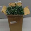 24 Inch Green Pre-Lit Fiber Optic Christmas Tree,Tabletop Artificial mini Xmas Tree with Gold Base Pot, Stars for Holiday Home Decorations