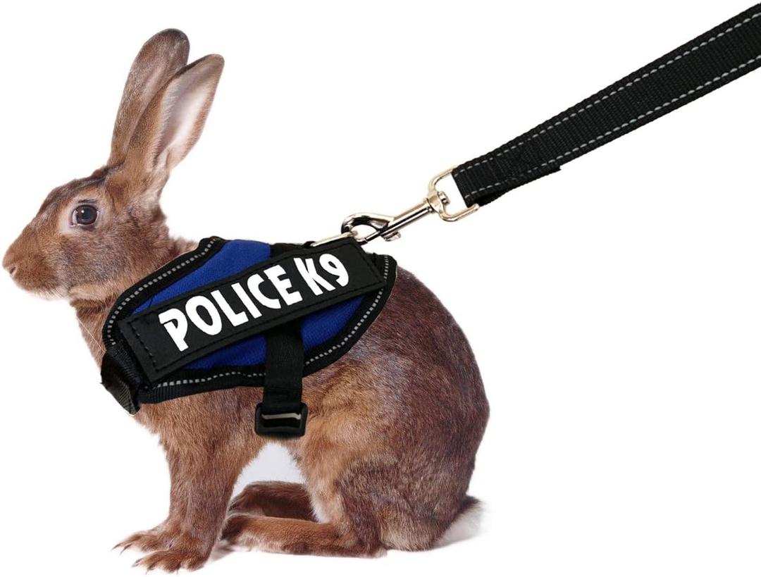 Rabbit Harness with Leash for Bunny Rabbits Cats Small Animals (Blue)