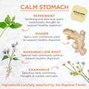 Bigelow Tea Benefits Calm Stomach Ginger Peach Caffeine Free Herbal Bags, 18 Count, Pack of 6