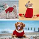 Small Dog Sweaters with Leash Hole Turtleneck Dog Sweaters Knitwear Warm Soft and High Stretch Pet Clothes S