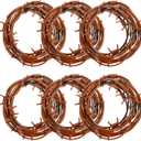 49 Foot Fake Rusted Barbed Wire Decoration 6 Pcs Halloween Plastic Barb Wire Decoration Prop Rust Red Western Decor Rusty Western Party Decorations Cowboy Decor for Cowboy Western Party Decor