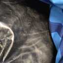 Toffos 48" x2 Snow Tube with Premium Oxford Cover, Heavy Duty Snow Sled for Adults with Thickened Bottom, Inflatable Cold Resistance Sledding, Toboggan Winter Outdoor Skiing Fun, Blue and Orange