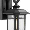 Emliviar Outdoor Wall Lantern Lights, 1-Light Exterior Wall Sconce Lamp, Black Finish with Clear Seeded Glass, 2084B BK