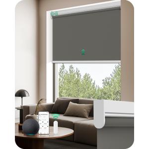 Allesin Motorized Blinds with Remote | Automatic Blackout Roller Shades, Easy Install & Smart Control Electric Blinds for Home Office, Living Room (Smoky Gray 48" W x 72" H)