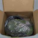Zilla Rock Lair, Naturalistic Hide, Supports Shedding and Egg-Laying, Retains Humidity, Ideal for Snakes and Lizard, Medium