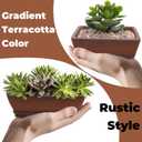 2 Pack Ceramic Bonsai Pots with Drainage Tray, 6" and 7" Unglazed Rectangle Bonsai Tree Planters, Bonsai Training Pots, Succulent Cactus Planter with Drainage Hole for Outdoor Indoor, Brown
