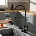 Kitchen Faucet with Cup Washer Pull Down Sprayer Stainless Steel Kitchen Sink Faucet with Deck Plate Glass Rinser Single Hole Black 3307R