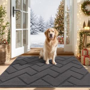 hicorfe Indoor Door Mat,Non Slip Door Mats,32"x48" Front Back Door Mat Rubber Backing,Absorbent Resist Dirt Entrance Inside Floor Mats for Entryway Washable Low-Profile(Grey)