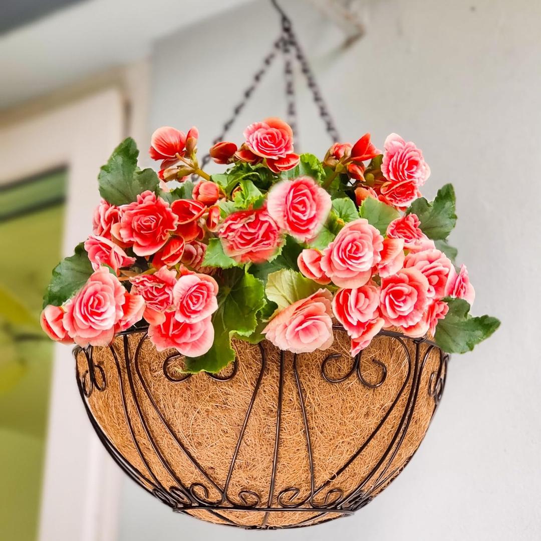 LaLaGreen Hanging Baskets for Plant Outdoor (18 Inch, 2 Pack) Large Black Metal Wire Hanging Planter with Coco Liner Round Flower Pot Hook Holder Hanger Deck Porch Modern Garden Balcony Country Decor