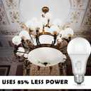 Color Selectable A19 LED Light Bulbs - Choose from 5 Colors Soft White to Daylight White. E26 Base, 60W, 800 Lumens, 85% Energy Saving for Indoor & Outdoor (2-Pack)