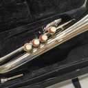 Queen Brass F-25 Flugel Horn Bb Pitch with Carrying Hardcase & Mouthpiece, Flugelhorn Harmon Mute 4 Valve in Nickel Finish, Perfect Gifting Option for Birthdays, Thanksgiving, Christmas (Silver)