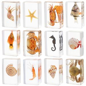12 Pcs Real Ocean Animal & Insect Specimens in Resin - Educational Science Display Collection with 12 Unique Styles - Perfect for School Projects, Bug Collectors & Home Decor