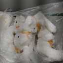 Lenwen 18 Pcs Bear Stuffed Animals Bulk 12 Inch Soft Plush Bears Doll Small Stuffed Toy for Boy Girl Baby Shower Valentines Christmas Birthday Decor Gift Party Favors(White)