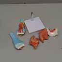 Human Laryngeal Anatomy Model, Including Tongue, Teeth, Thyroid and Laryngeal Structure Research Models, Suitable for Medical Education, Training and Research