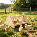 4 x Wooden Chick Perch Stand, Pine Chicks Roosting Bar, Jungle Gym Perch Toys for Chicken Coop & Brooder, Bird Perch for Baby Chicks & Parrots (Small)