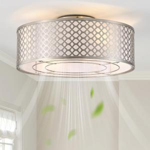 20" Silver Ceiling Fan with Light Flush Mount, Caged Boho Ceiling Fans with Lights Remote Control, Round with 6 Speeds for Bedroom, Nursery, Living Room