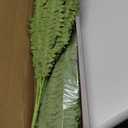 FOREST PRINCE 35" Ferns Artificial Bush Plants Large, 2 Artificial Boston Ferns with 39 Fronds for Outdoors Home Decor
