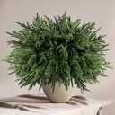 JOICEE 16 Pcs Real Touch Norfolk Pine Branches, 18" Christmas Artificial Green Plants Branch Faux Cedar Stem Fake Greenery Pine Picks for Vase DIY Crafts Garland Wreath Christmas Indoor Outdoor Decor