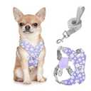 Pawaboo Small Dog Harness and Leash Set, Puppy Harness X-Frame No Pull No Choke, Dog Vest Harness Adjustable for Small Medium Sized Dogs,Soft Breathable Pet Harness for Walking Outing, S, Purple Daisy
