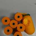 VETRESKA Dog Poop Bag Dispenser with Citrus Scented Waste Bags, Leak Proof, Extra Thick and Large Pet Poop Bags for Walking Dog and Cats Litter, 1 Count Holder and 105 Bags, Orange