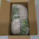 THE BLOOM TIMES 2 Pcs Small Fake Plants for Home Decor Indoor, Artificial Faux Potted Greenery for House Office Decorations