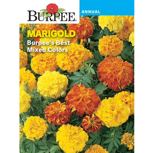 BURPEE Seeds Combo Sweet Pepper And Marigold