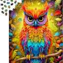 1000 Piece Jigsaw Puzzle for Adults - Colorful Rainbow Owl & Autumn Forest, Matte Anti-Glare, Unique-Shape Pieces, 2mm Board, Frame-Worthy 27x19  