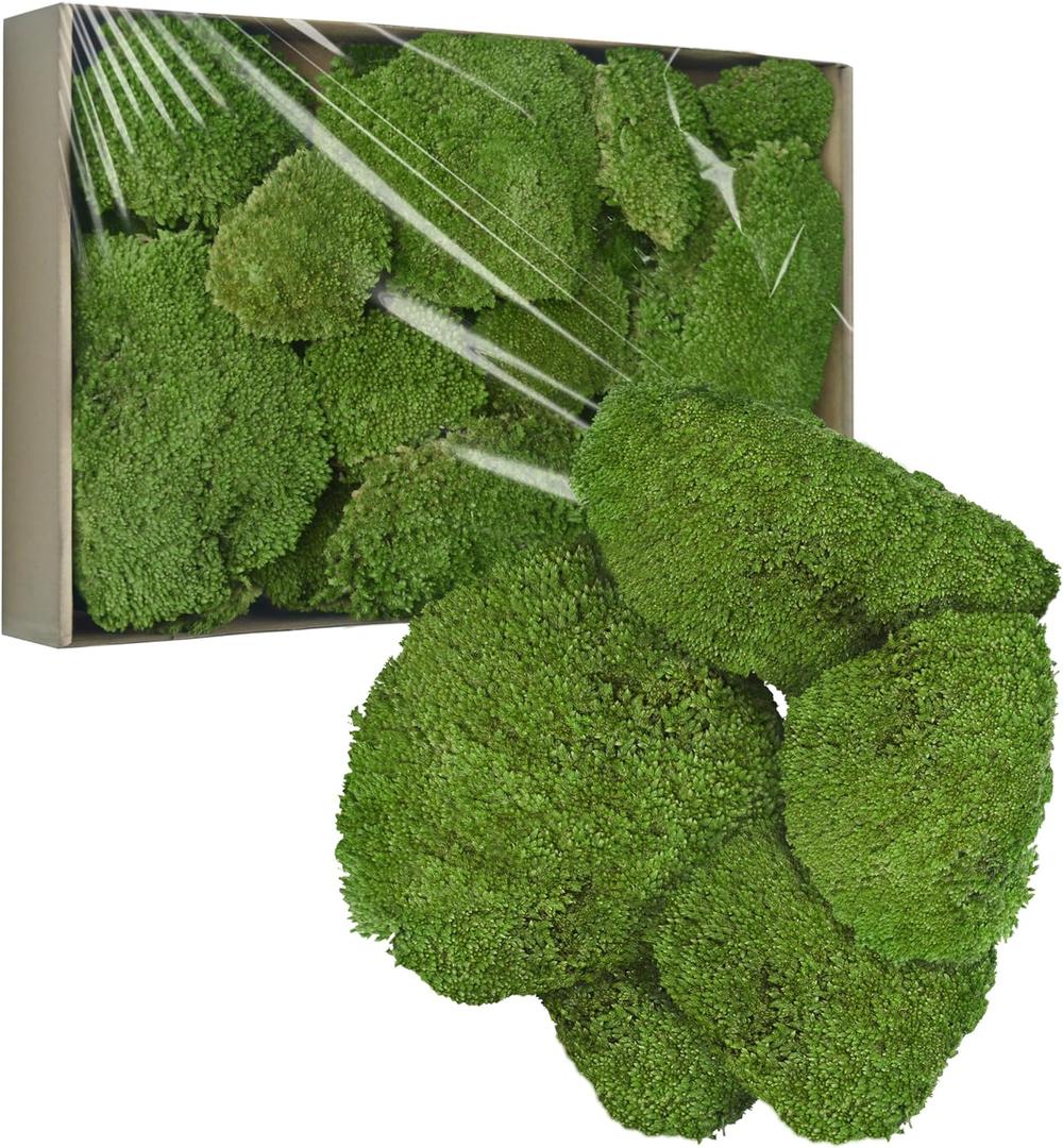 TurelinnG Preserved Moss Decor - Real Forest Moss, Moss for Crafts, Flexible for DIY Crafts, Home, Wall, Terrarium, Art Projects(Natural Green 2 sq.ft)