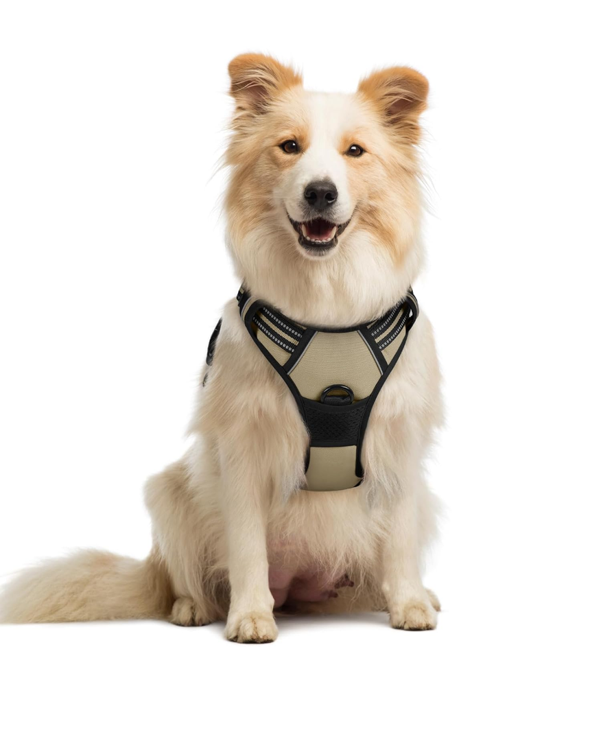 rabbitgoo Dog Harness No Pull with 2 Leash Clips, Adjustable Soft Padded, Reflective Oxford No Choke Pet Vest with Easy Control Handle for Medium Sized Dogs, Beige, M