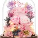 Large Preserved Flowers with Card&Box-Flowers for Delivery Prime,Eternal Rose with Lights,Roses in Glass Dome,Romantic Gift for Her,Decoration,Fresh Rose Flowers for Mom, Birthday, Anniversary (Pink)