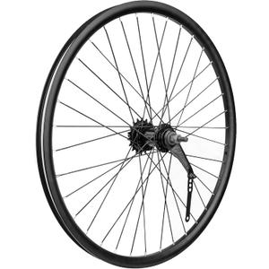 Coaster Brake Rear Wheel, 28 Hole High-Profile Double Wall Rim, Fits 20x1.75-2.35 Inch Tires, Backpedal Foot Brake Wheel for BMX Cruiser Kids Folding Bike Replacement (20)
