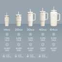 STANLEY Quencher H2.0 FlowState Stainless Steel (14 Ounces, Ash)