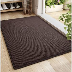 Color&Geometry Large Double Door Mat, 24"x48" Front Door Rug Indoor Entrance Non Slip, Dirt Trapper Absorbent Entry Doormat Washable 2x4, Brown (Rolled-up NO Creases)