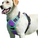 Eagloo Dog Harness for Large Dogs, No Pull Service Vest with Reflective Strips and Control Handle, Adjustable and Comfortable for Walking, No Choke Pet Harness with 2 Metal Rings, Purple & Green, L